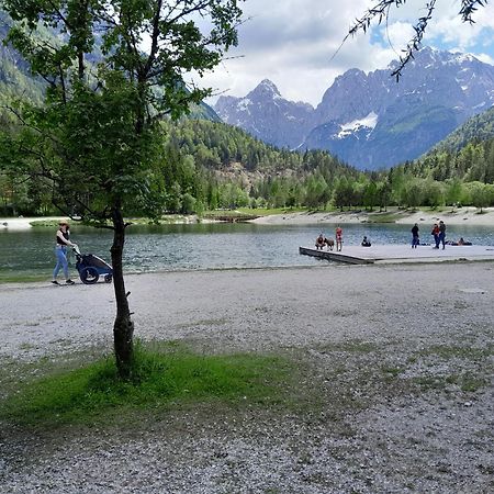 Les Chalet Kranjska Gora Duplex Eksteriør billede