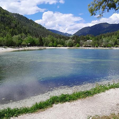 Les Chalet Kranjska Gora Duplex Eksteriør billede