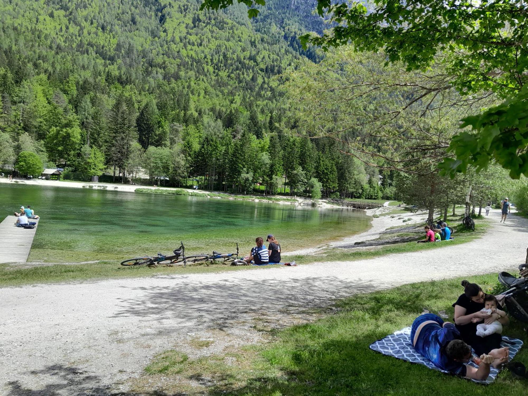 Les Chalet Kranjska Gora Duplex Eksteriør billede